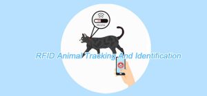 Seguimiento e identificación de animales RFID
